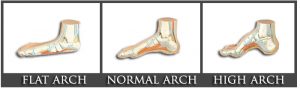 feet-archs